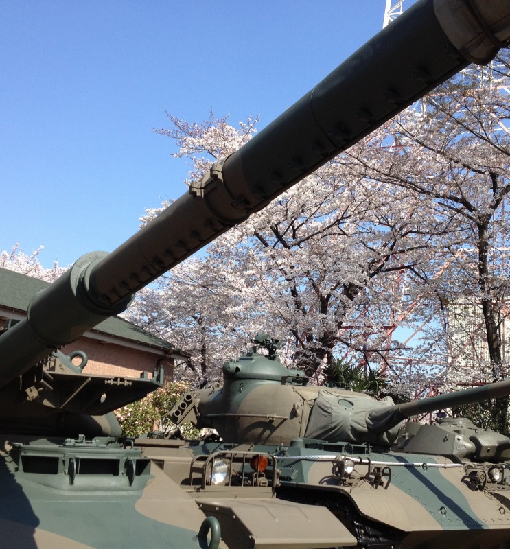 戦車と桜